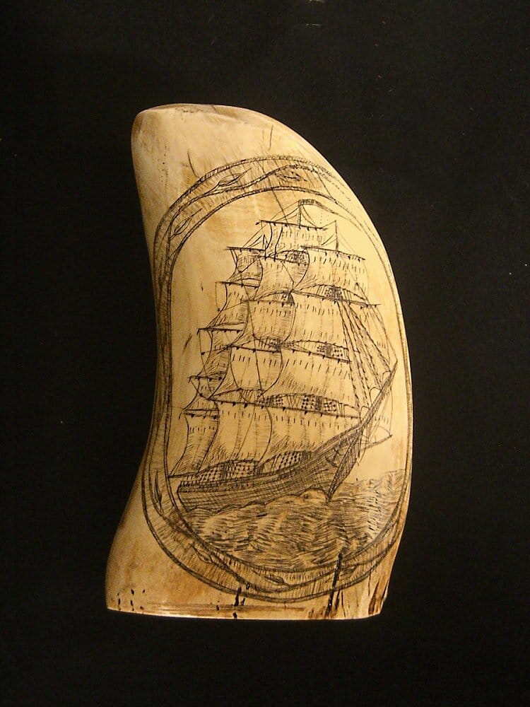 Scrimshaw Sperm Whale Tooth, 1867, National Museum of American History